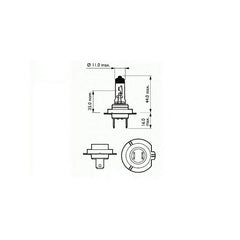 BEC FAR H7 12V 55W PX26D BASIC SCT